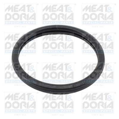 Seal, thermostat